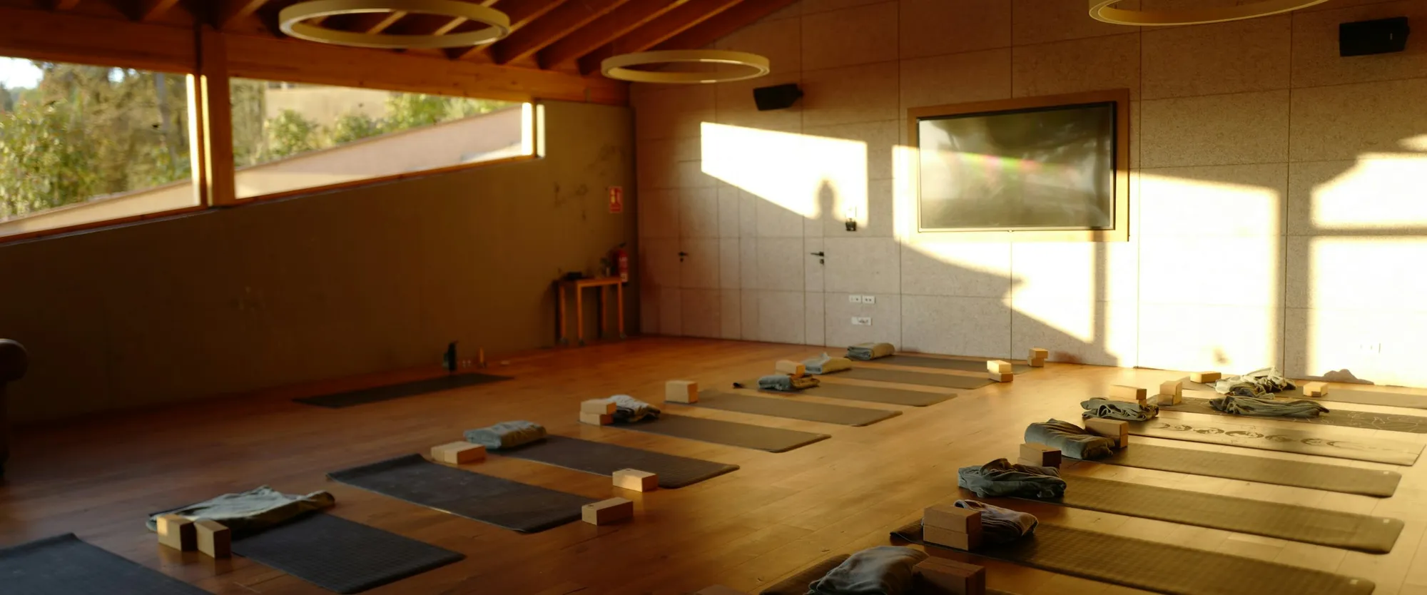 An empty yoga studio with mats laid out, ready for class